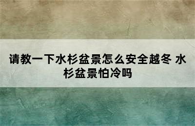 请教一下水杉盆景怎么安全越冬 水杉盆景怕冷吗